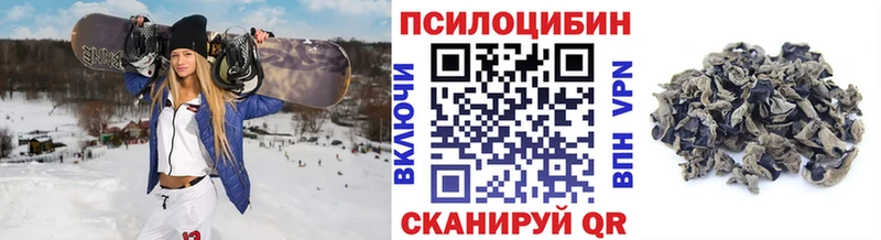Псилоцибиновые грибы Psilocybe  OMG ССЫЛКА  Сальск  где купить наркоту 